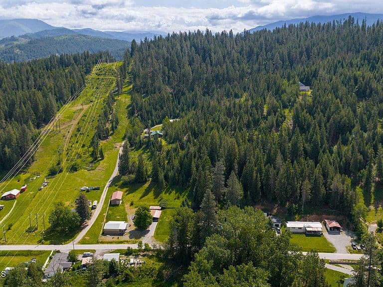 357 Hunt Gulch Rd photo 5