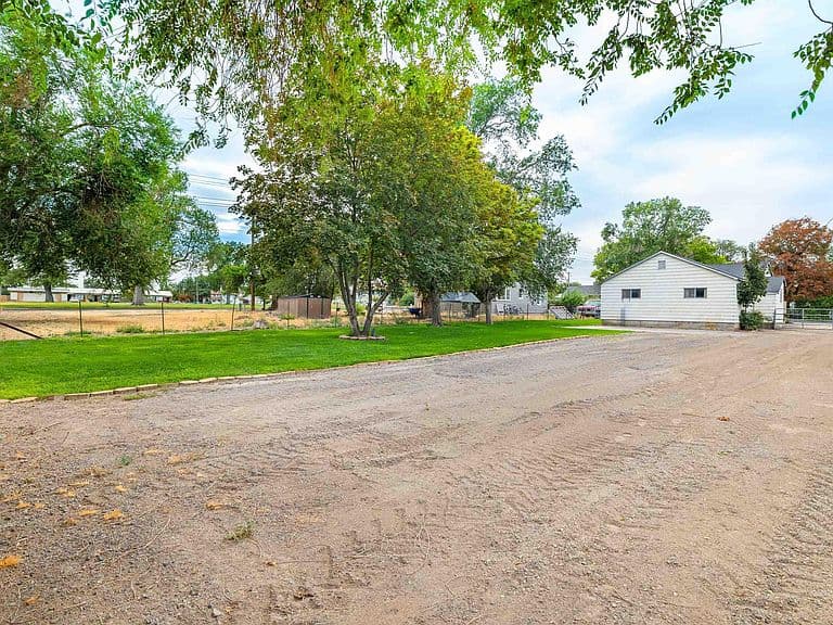 281 Lois St photo 5