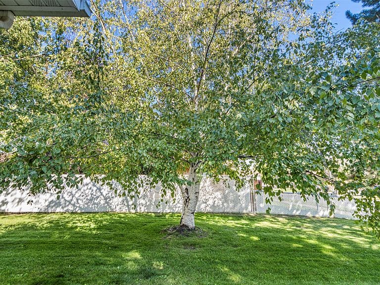 15 Teton St photo 3
