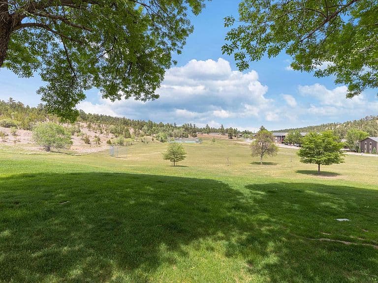 4834 Mountain Springs Ct photo 4