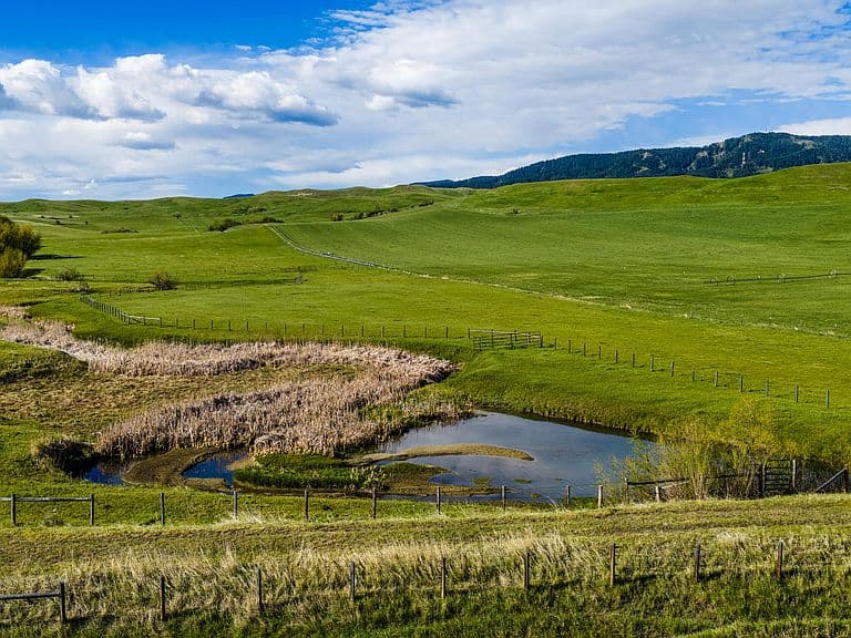 3614 Highway 87 photo 5