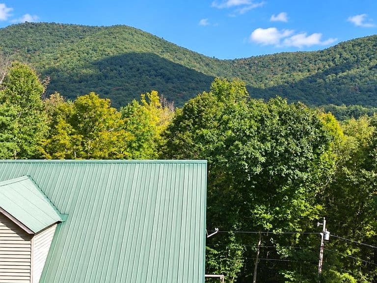 1725 Shaftsbury Hollow Road photo 3