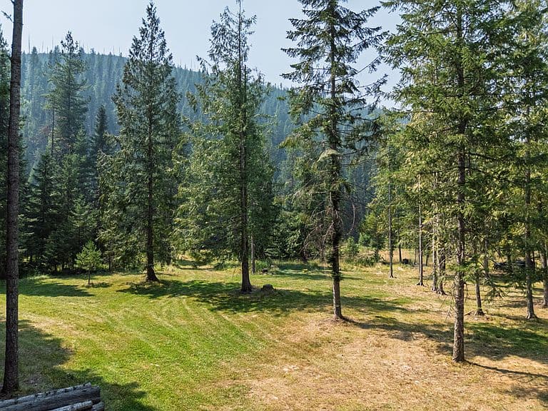 441 Cedars Dr photo 2