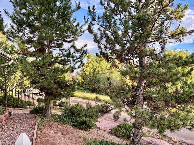 1302 W Lake Dr photo 4