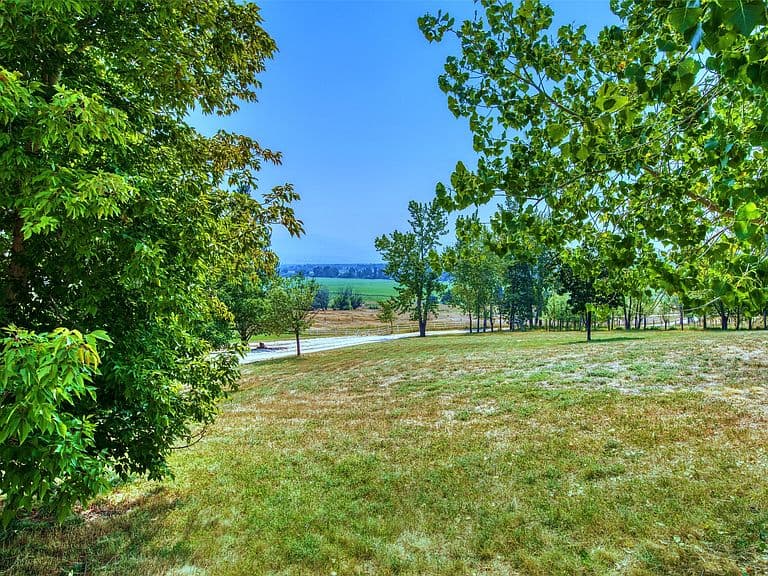 553 Sunset West photo 5