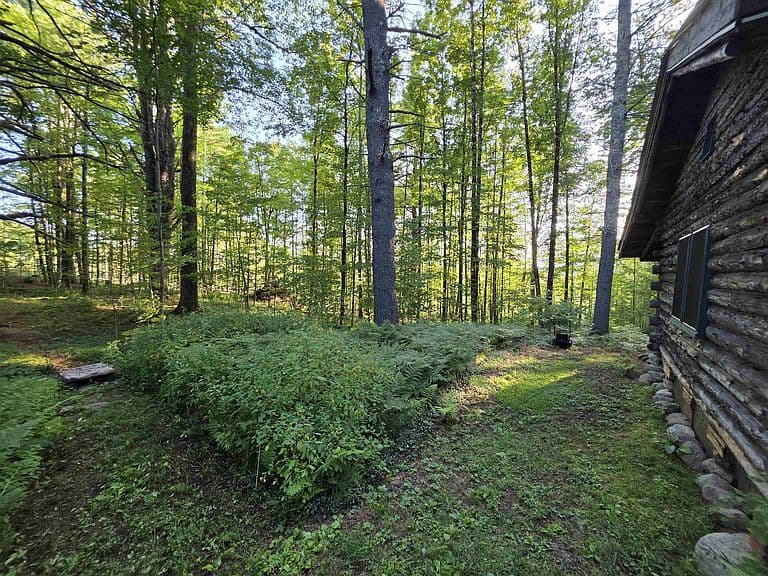 135 Little Hill Road photo 5