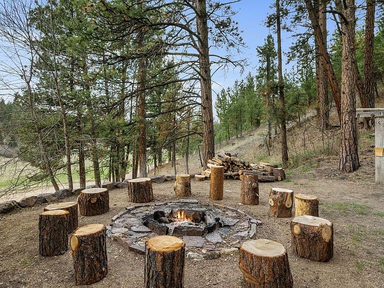 221 Warm Springs Creek Rd photo 5