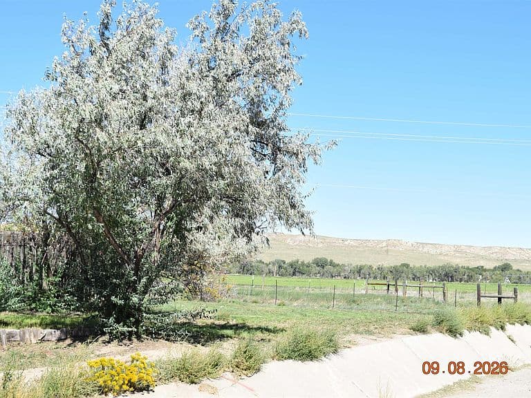 170 Fort Laramie photo 3