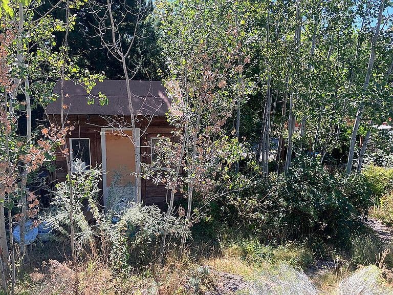 1610 Sherwood St photo 4