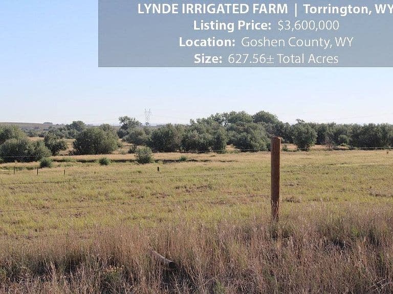 4815 Road 59 photo 5