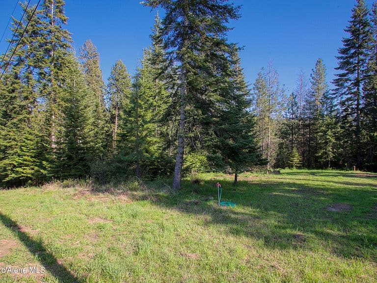 31582 E Hayden Lake Rd photo 5