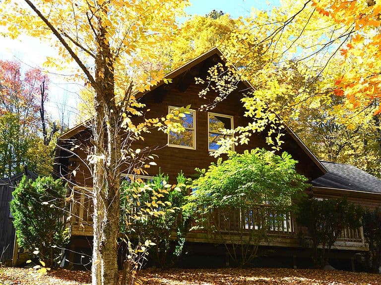 294 Forest Acres Road photo 3