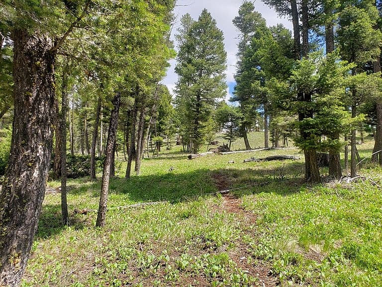 513 Spruce Gulch Rd photo 4