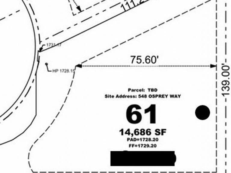 548 Golden Eagle Way photo 4