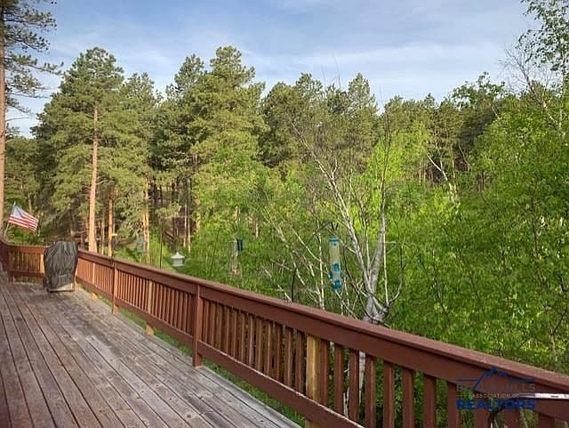 23141 Pactola Dr photo 5