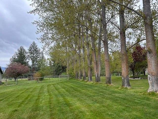 159 Edens Ln photo 4
