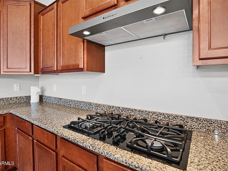 41199 W ALMIRA Drive photo 3
