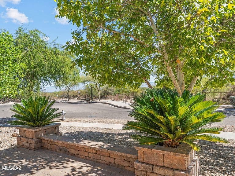 17054 S Golden Sunrise Pl photo 3