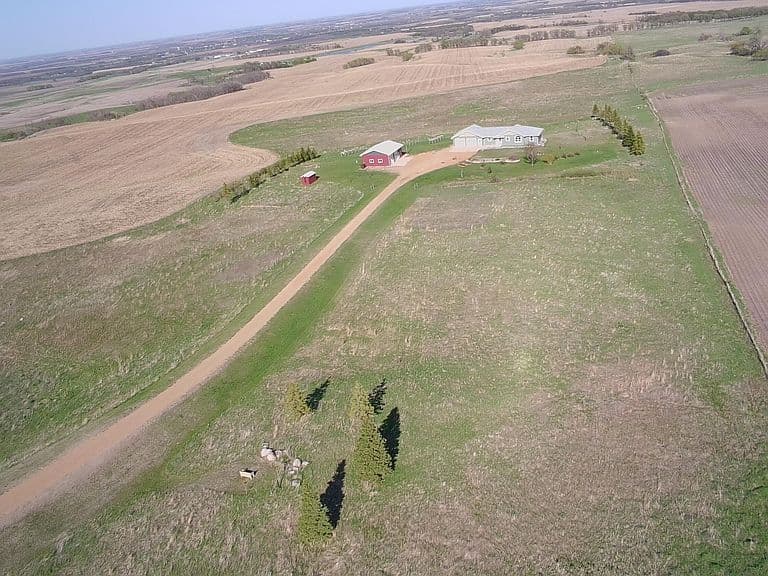 12068 Lohre Rd photo 4