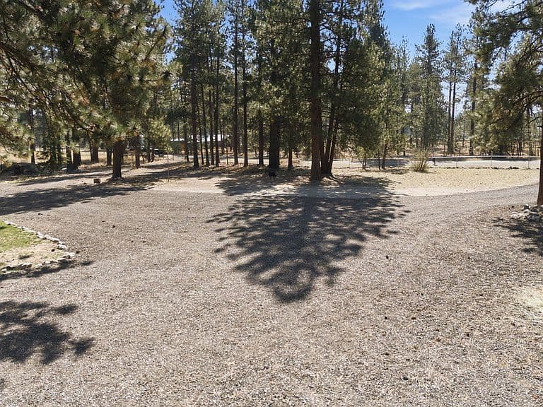 516 Pebble Ln photo 3