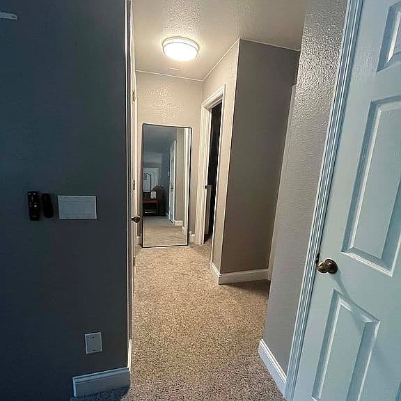 9 Cornflower Ct photo 3