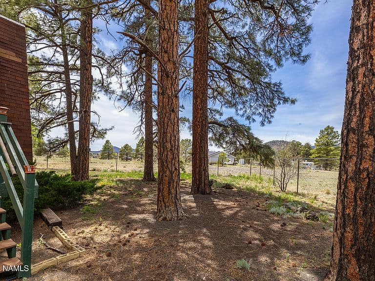 10510 Cross Rd photo 4