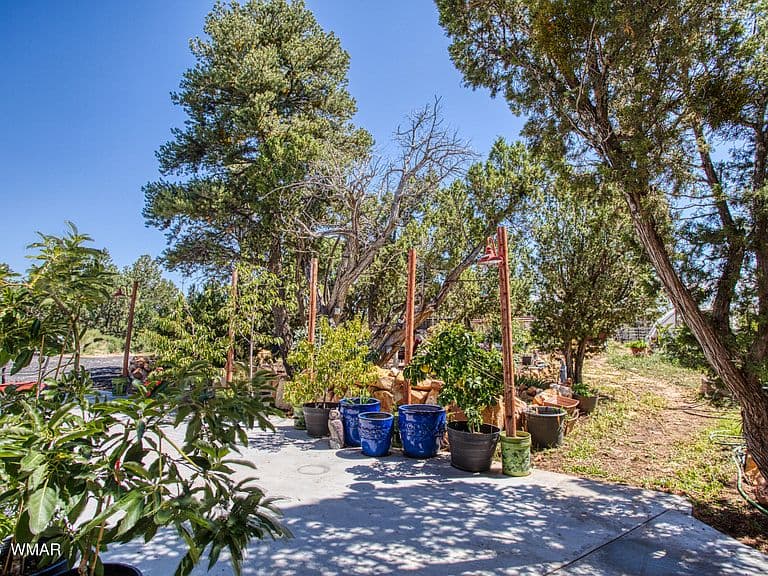 3336 Bear Heights Rd photo 5