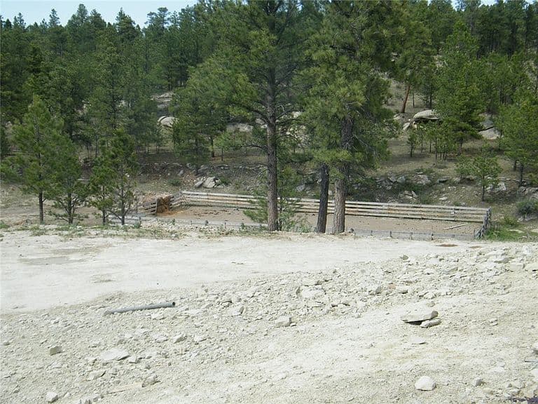 118 Shovel Head Way photo 3