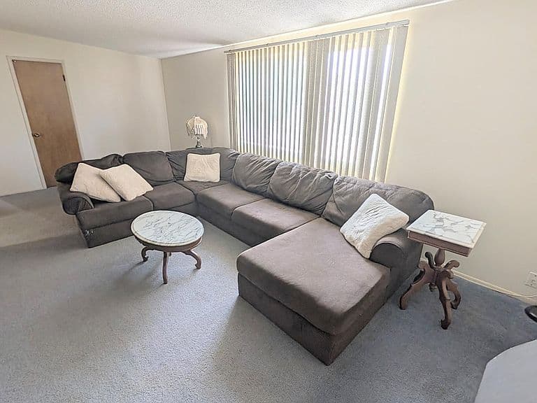 301 PINE TREE Drive photo 5