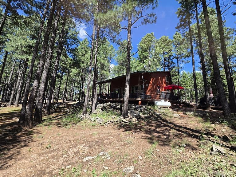 2644 Summer Loop photo 4