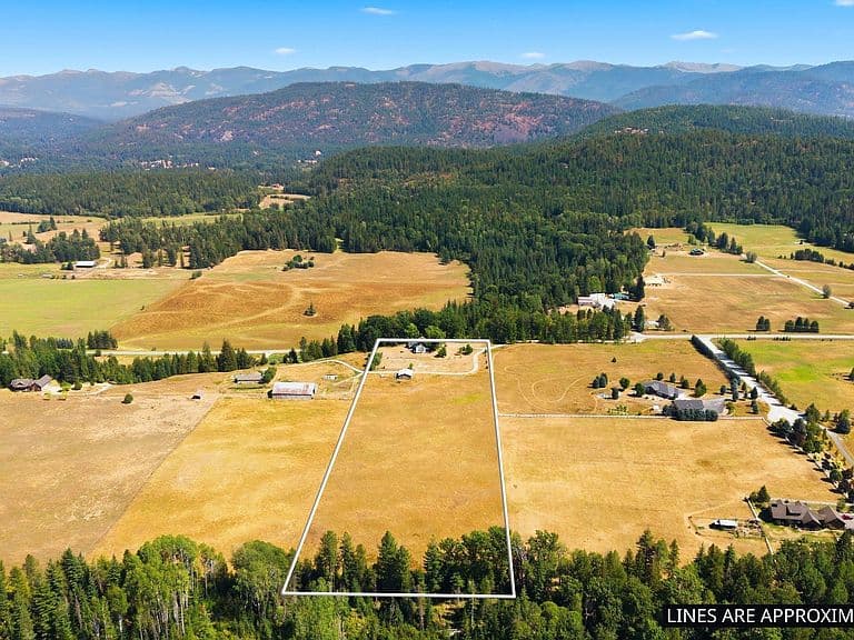101 Farmer Dr photo 4