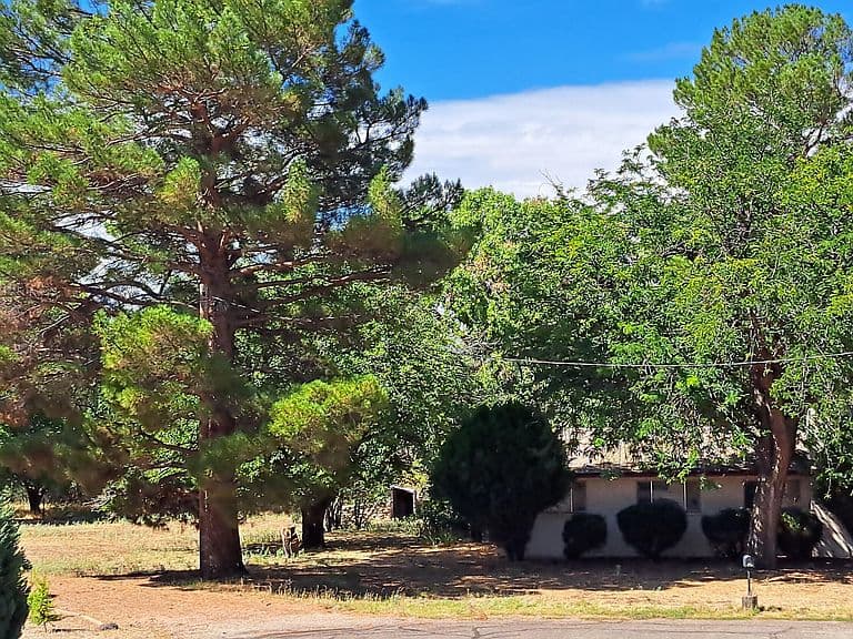 3647 E SYCAMORE Lane photo 1