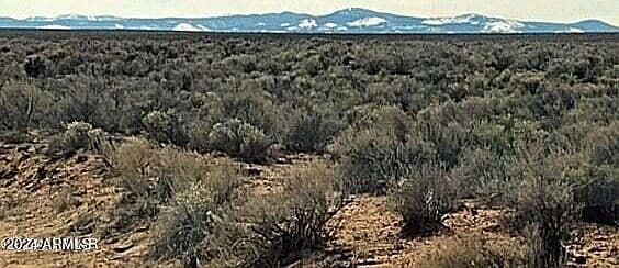 3 LOTS In Carrizo Ranch #342-346-347 photo 4