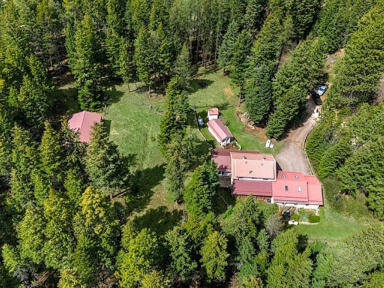 1022 Grizzly Mountain Rd photo 3