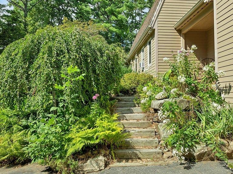 107 Old Denny Hill Road photo 3