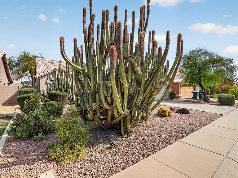 1590 E SAN TAN Street photo 3