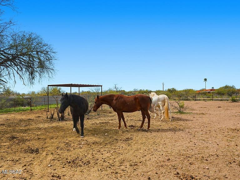 3121 N Conestoga Ave photo 2