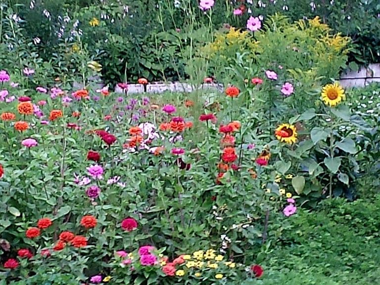 19 Blakeslee Street photo 4