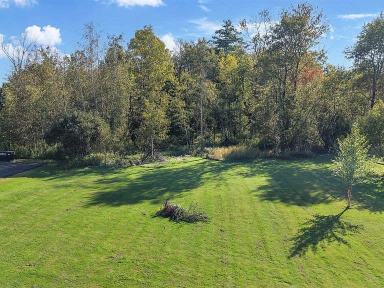 7786 Williston Road photo 5