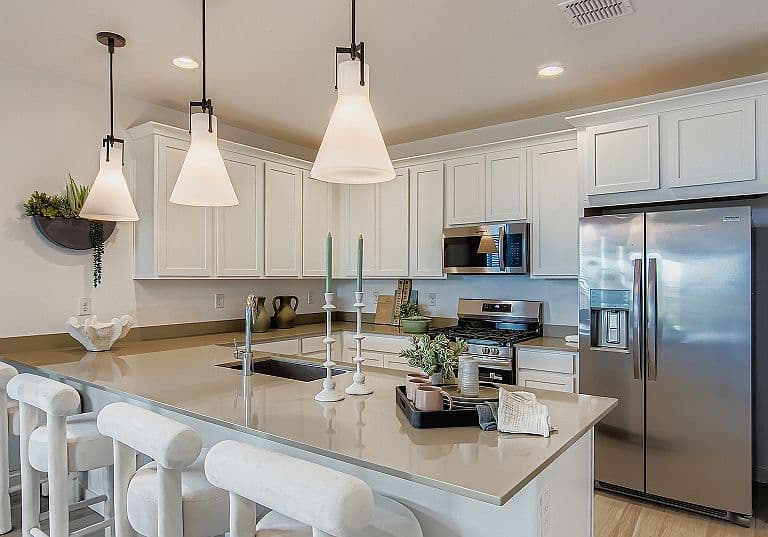 Revolution Plan 4083 Plan, Western Garden : Horizon photo 5