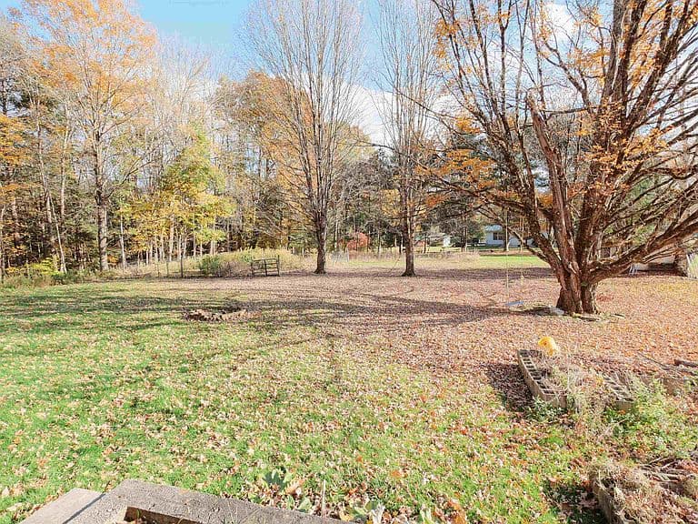 1646 Plains Road photo 5