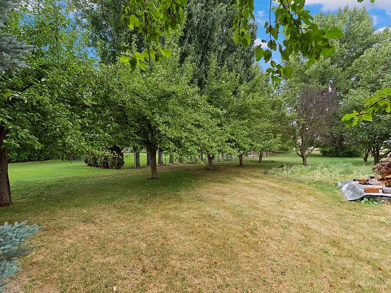 124 Ponderosa Ln photo 5