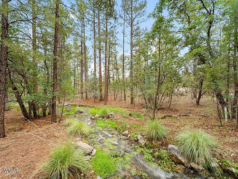 3871 W Sugar Pine Way photo 3