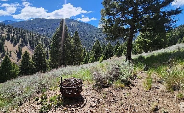 14 Elk Summit Way photo 5