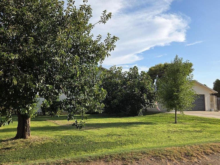 4201 W WALTANN Lane photo 2
