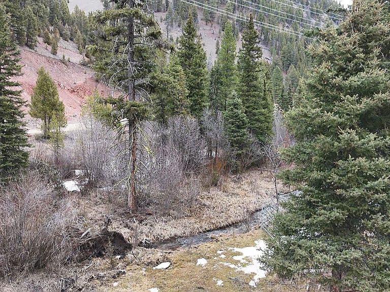 614 Wyman Gulch Rd photo 5