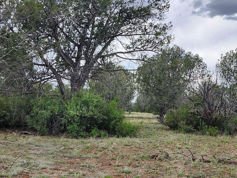 97C W Rattlesnake Rd photo 4