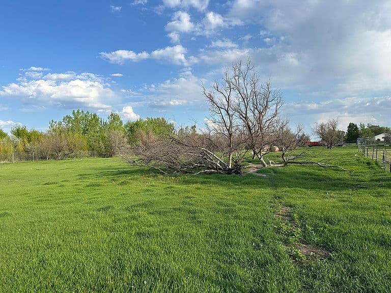 1582 NE Freedom Ave photo 5
