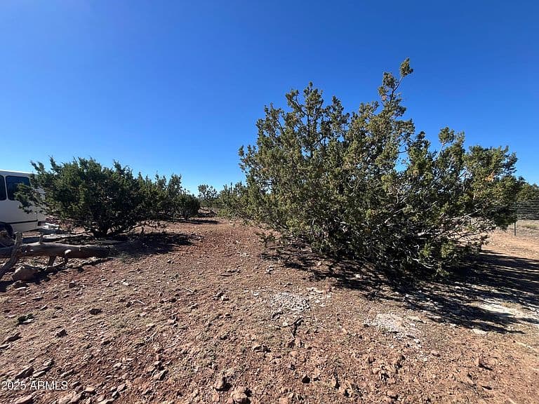 613 MOUNTAIN CAT Road photo 5