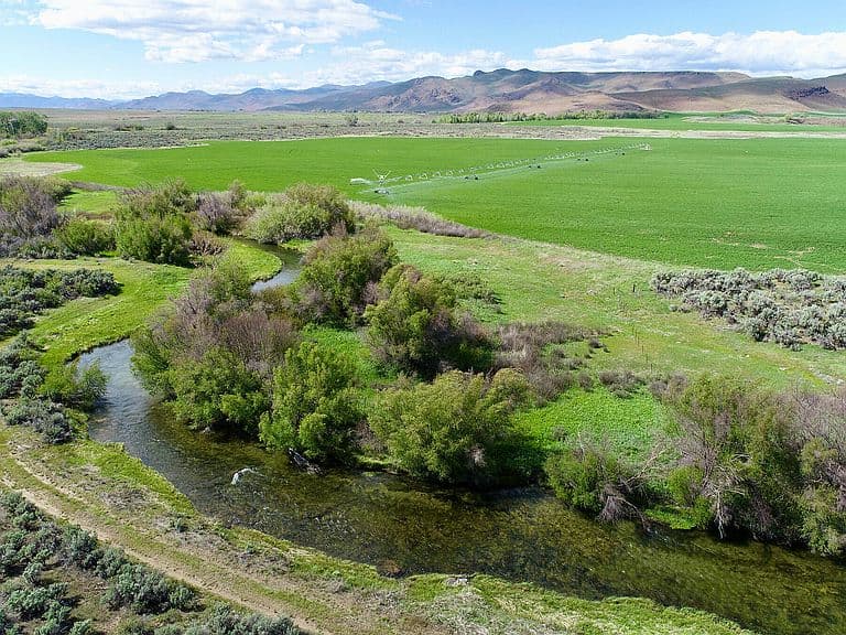 428 Cutoff Rd photo 2